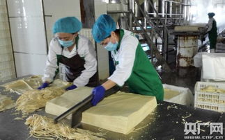 天人和 中國(guó)豆制品產(chǎn)業(yè)的樣板工廠